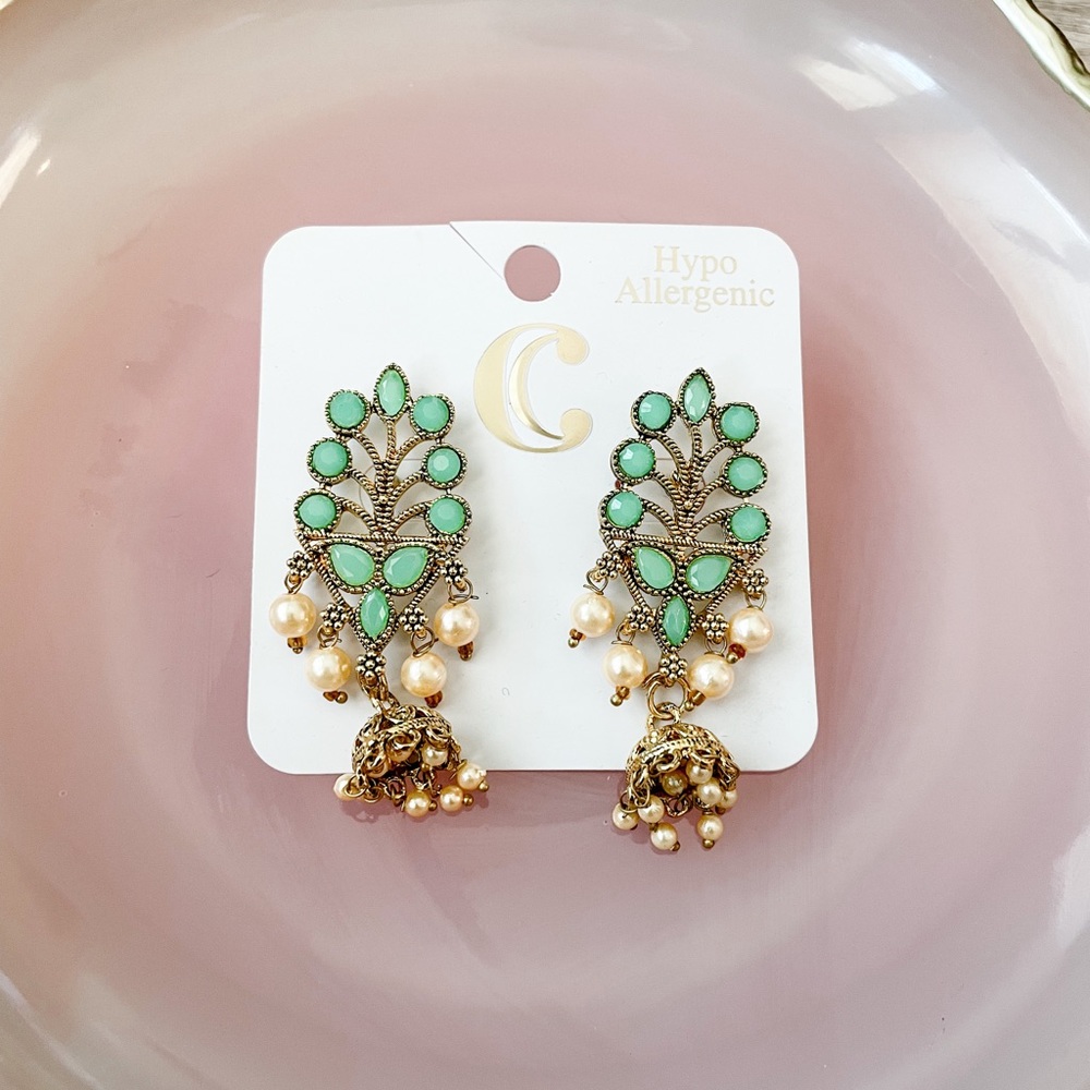 Charming Charlie statement earrings